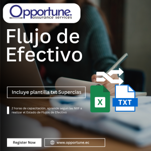 Taller Online de Flujo de Efectivo