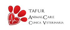 tafur-e1765768779429