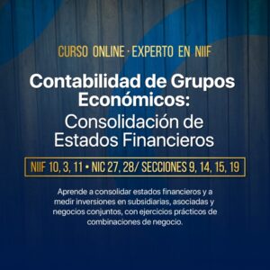 Consolidación de Estados Financieros bajo NIIF (Completas y Pymes)